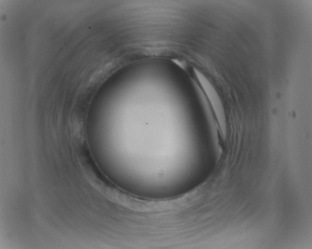 X0000073930031200609011845