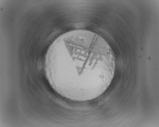 X0000073930032200609011845