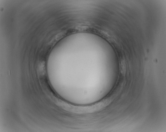 X0000073930034200609011845