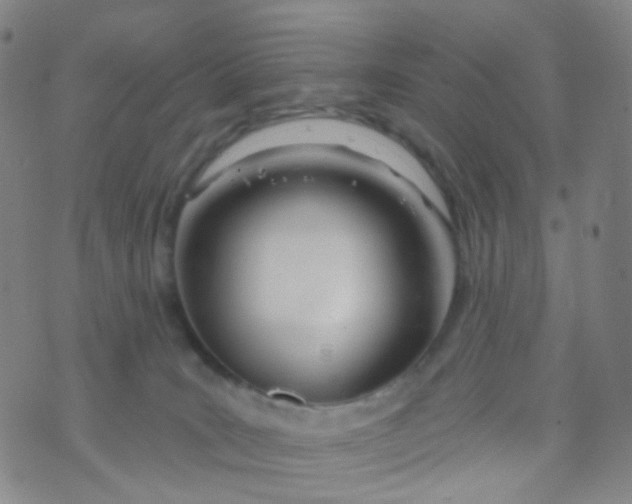 X0000073930035200609011845