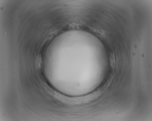 X0000073930038200609011845