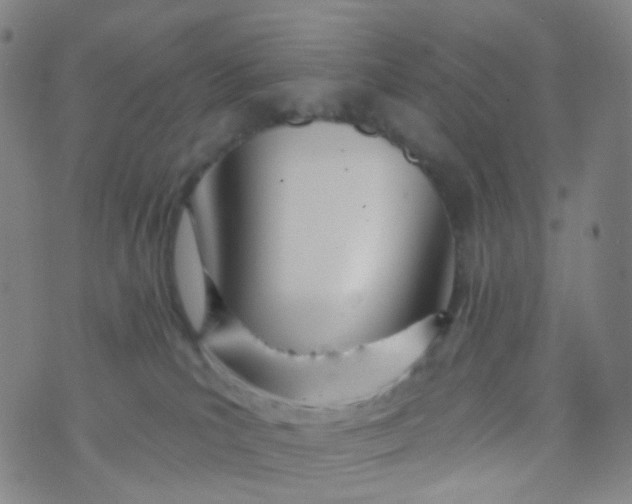 X0000073930039200609011845