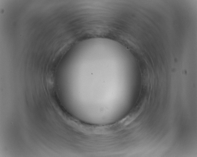 X0000073930040200609011845