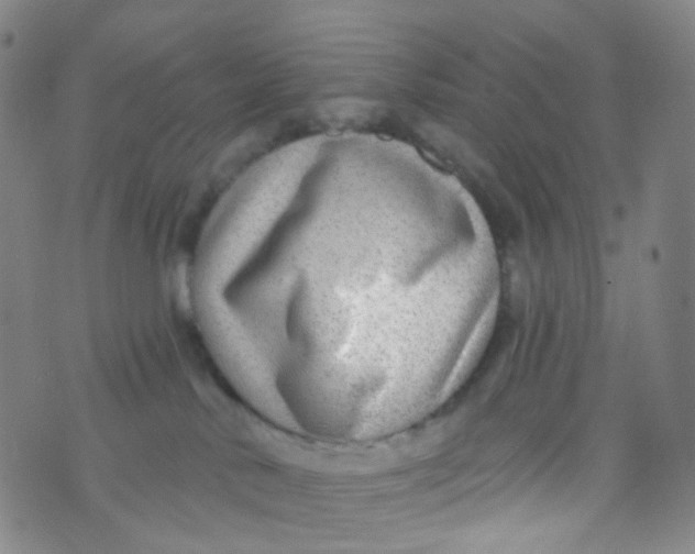 X0000073930042200609011845