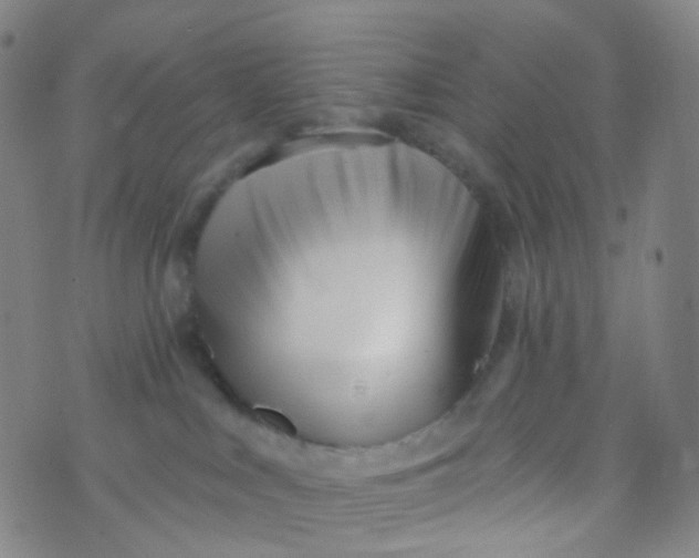 X0000073930043200609011845