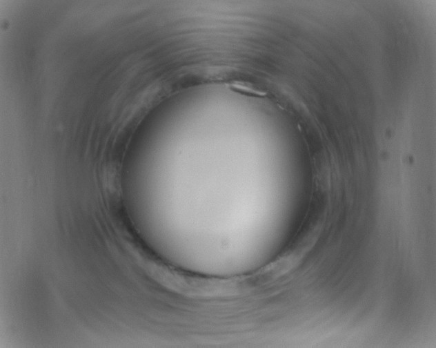 X0000073930044200609011845