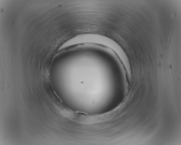 X0000073930045200609011845