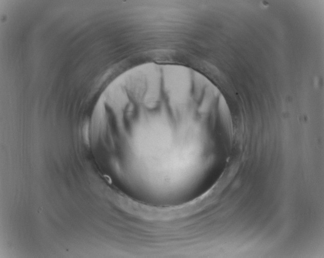 X0000073930047200609011845