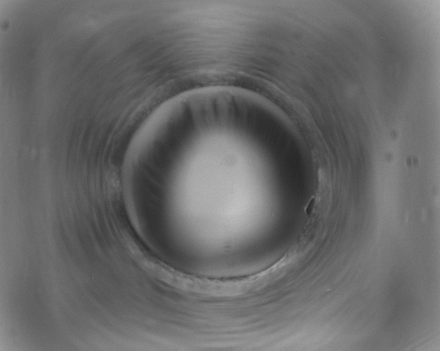 X0000073930048200609011845