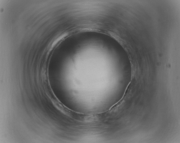 X0000073930050200609011844