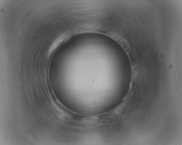 X0000073930051200609011844