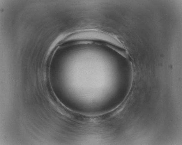 X0000073930056200609011844