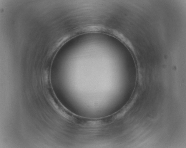 X0000073930057200609011845