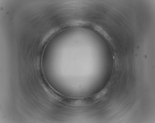 X0000073930058200609011845