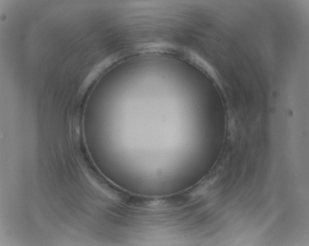 X0000073930059200609011845