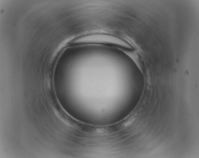 X0000073930060200609011845