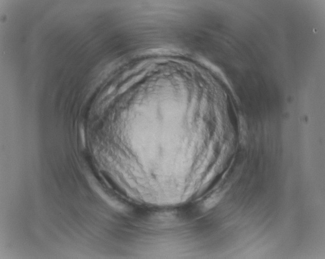 X0000073930061200609011845