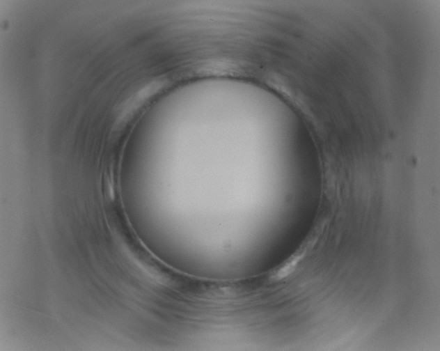 X0000073930062200609011845