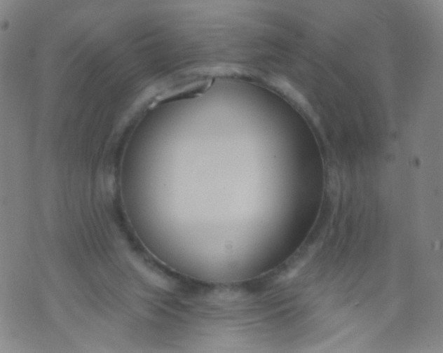 X0000073930063200609011845