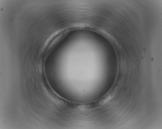 X0000073930064200609011845