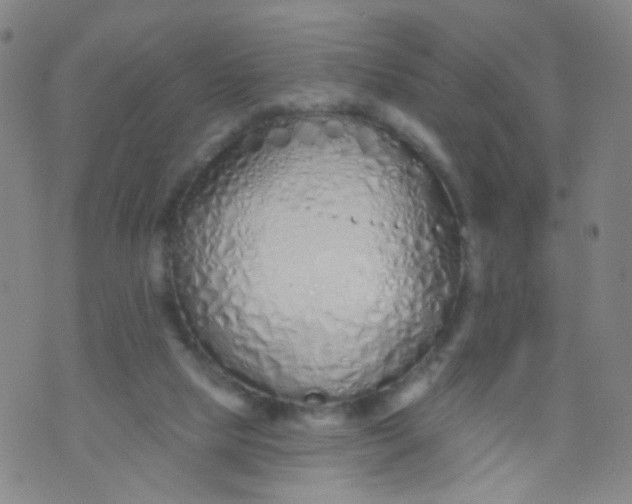 X0000073930065200609011845