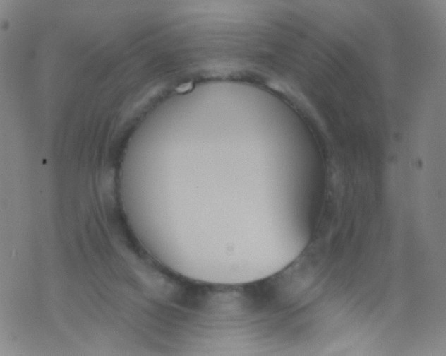 X0000073930066200609011845