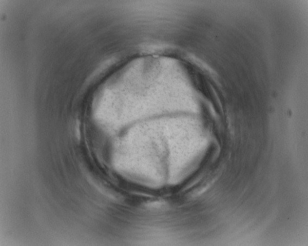 X0000073930067200609011845