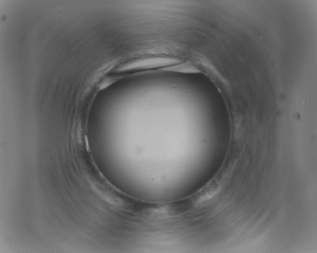 X0000073930068200609011845