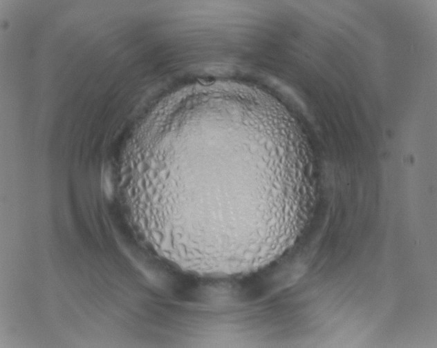 X0000073930069200609011845