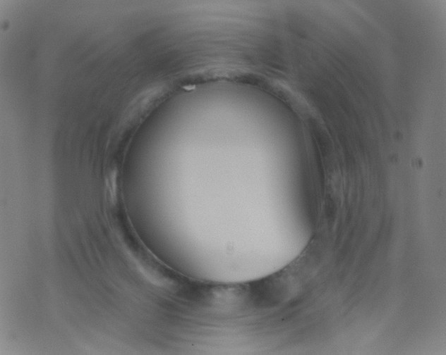 X0000073930070200609011845