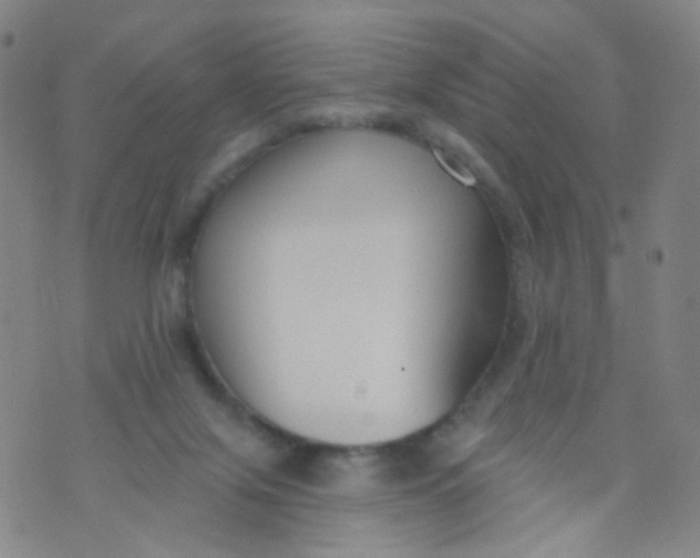 X0000073930071200609011845