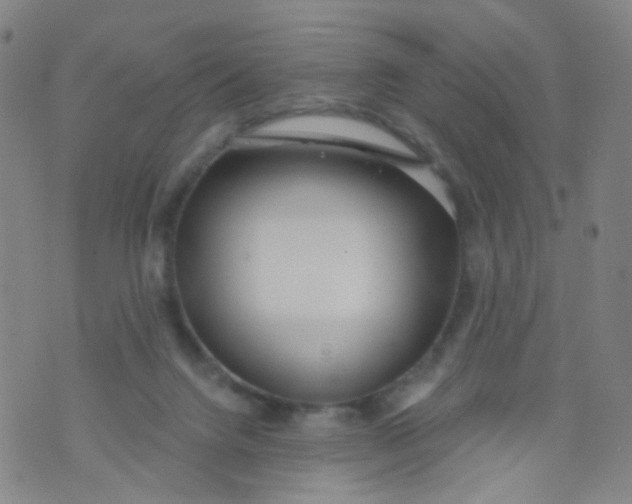 X0000073930072200609011845