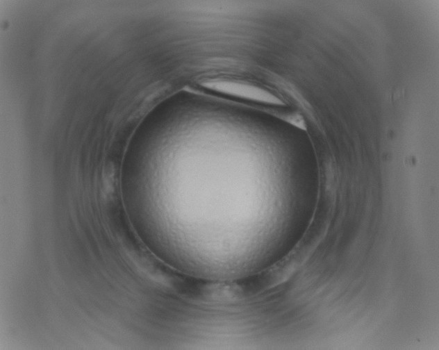 X0000073930073200609011845