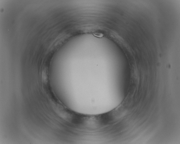 X0000073930074200609011845