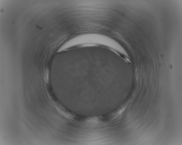 X0000073930076200609011845