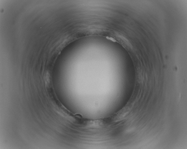 X0000073930077200609011845