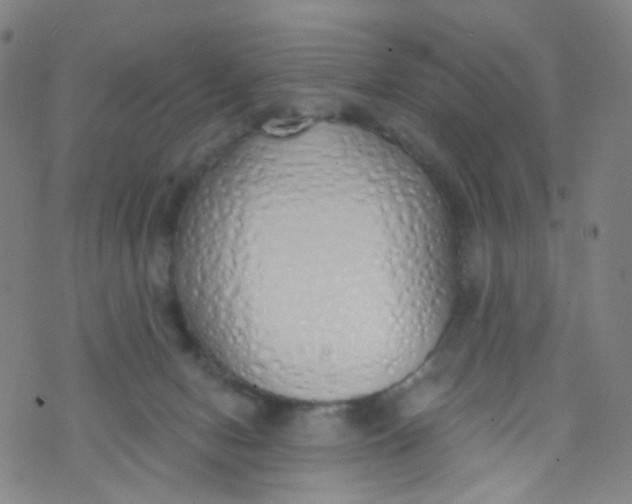 X0000073930078200609011845