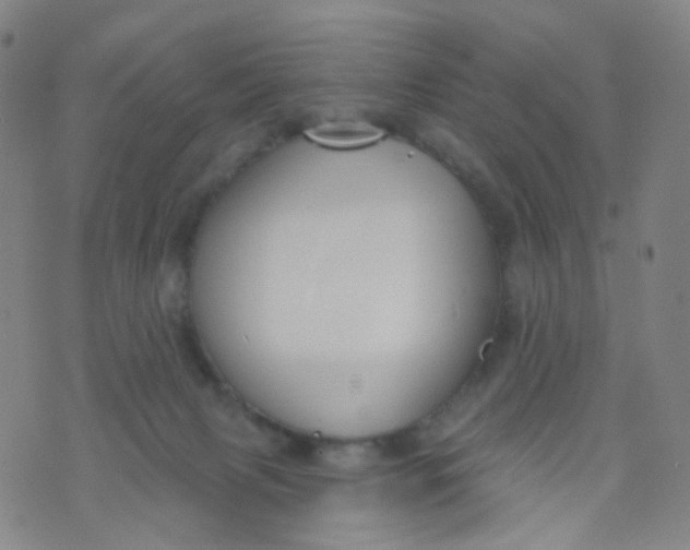 X0000073930079200609011845