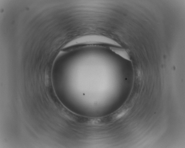 X0000073930080200609011845