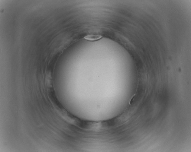 X0000073930083200609011845