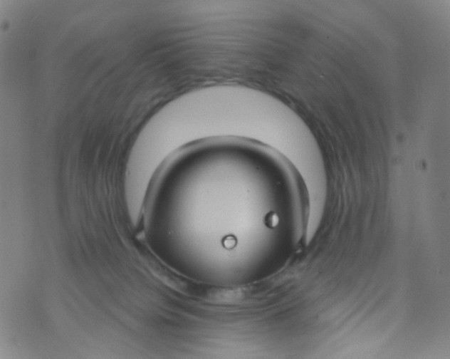 X0000073930084200609011845