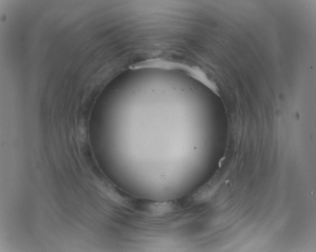 X0000073930085200609011845