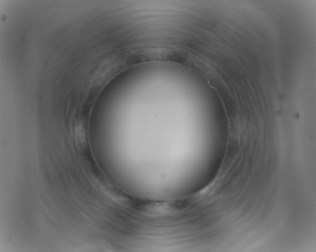 X0000073930086200609011845