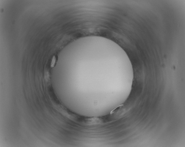 X0000073930087200609011845