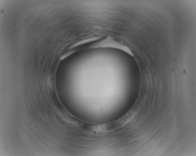 X0000073930088200609011845