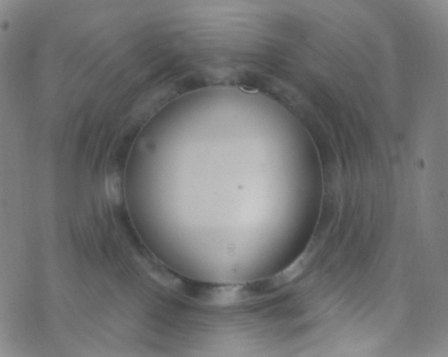 X0000073930090200609011845