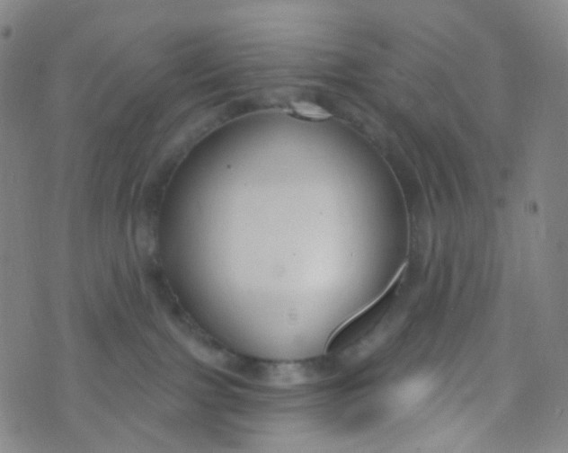 X0000073930091200609011845