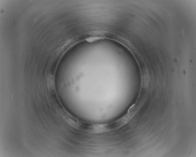 X0000073930093200609011845