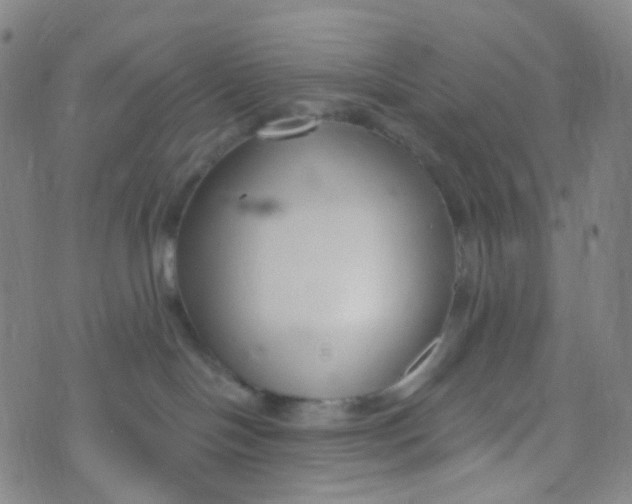 X0000073930094200609011845