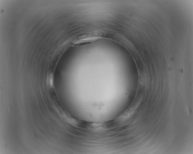 X0000073930095200609011845